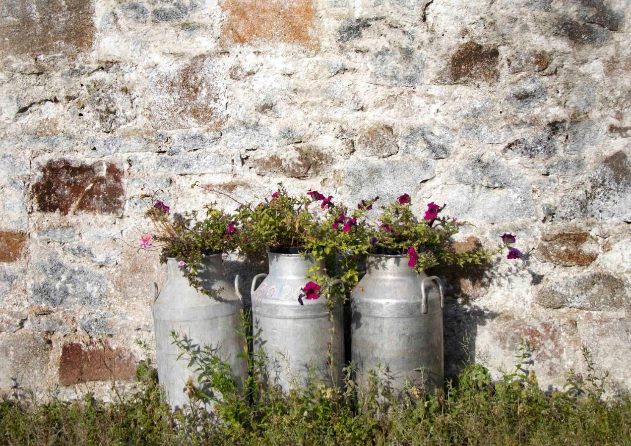 Bramble Cottage Rathfriland Екстериор снимка